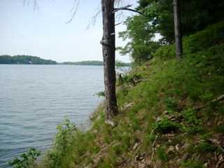 Listing ID 74187