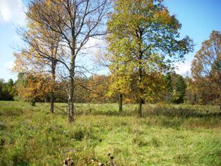 Listing ID 83734
