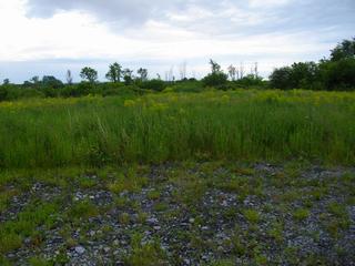 Listing ID 85809