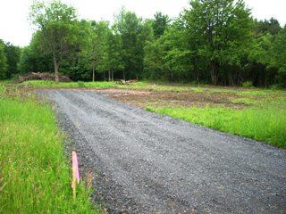 Listing ID 86031