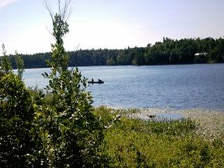 Listing ID 86440