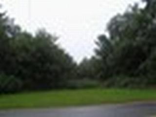 Listing ID 86627