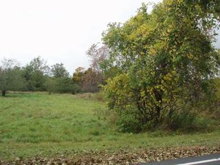Listing ID 86737