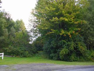 Listing ID 87141