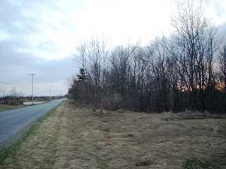Listing ID 88046
