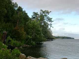 Listing ID 83274