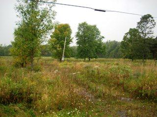 Listing ID 83734