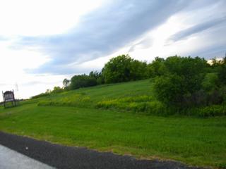 Listing ID 85797