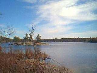 Listing ID 86440