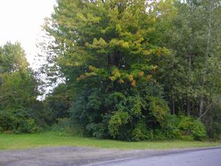 Listing ID 87141