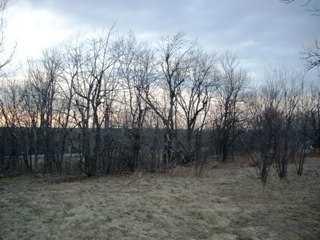 Listing ID 88046