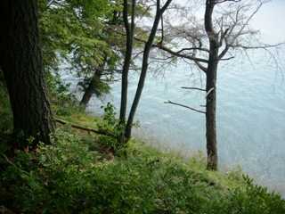 Listing ID 74187