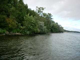 Listing ID 83274