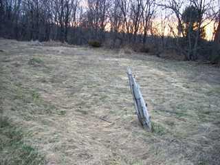 Listing ID 88046