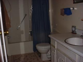 Listing ID 85233