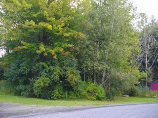 Listing ID 87141