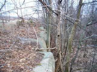 Listing ID 88046