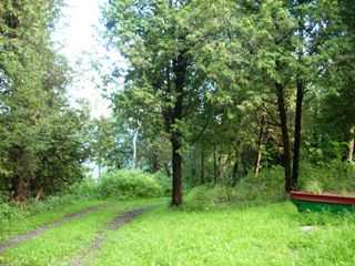 Listing ID 83274