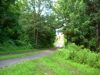 Listing ID 83274