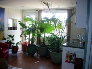 Listing ID 84988